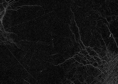 DURABLE II BLACK VELVET