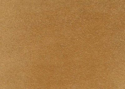 VELOUR | SUEDE GOLDEN BROWN