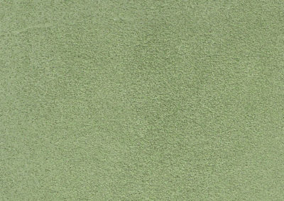 VELOUR | SUEDE RESEDA GREEN